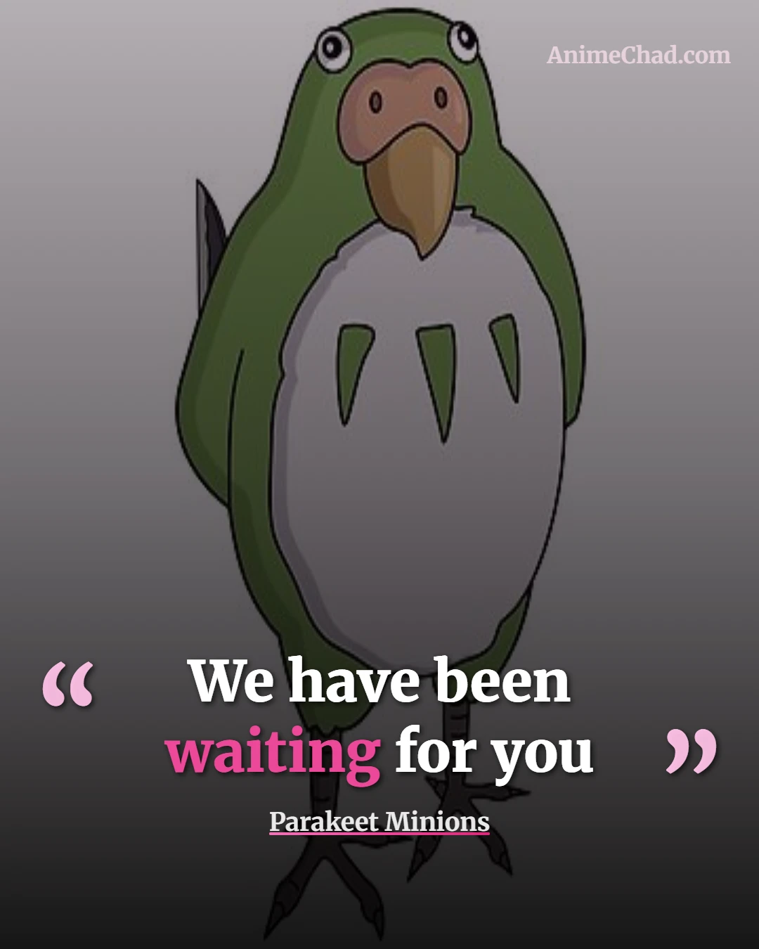 Parakeet Minions Quotes