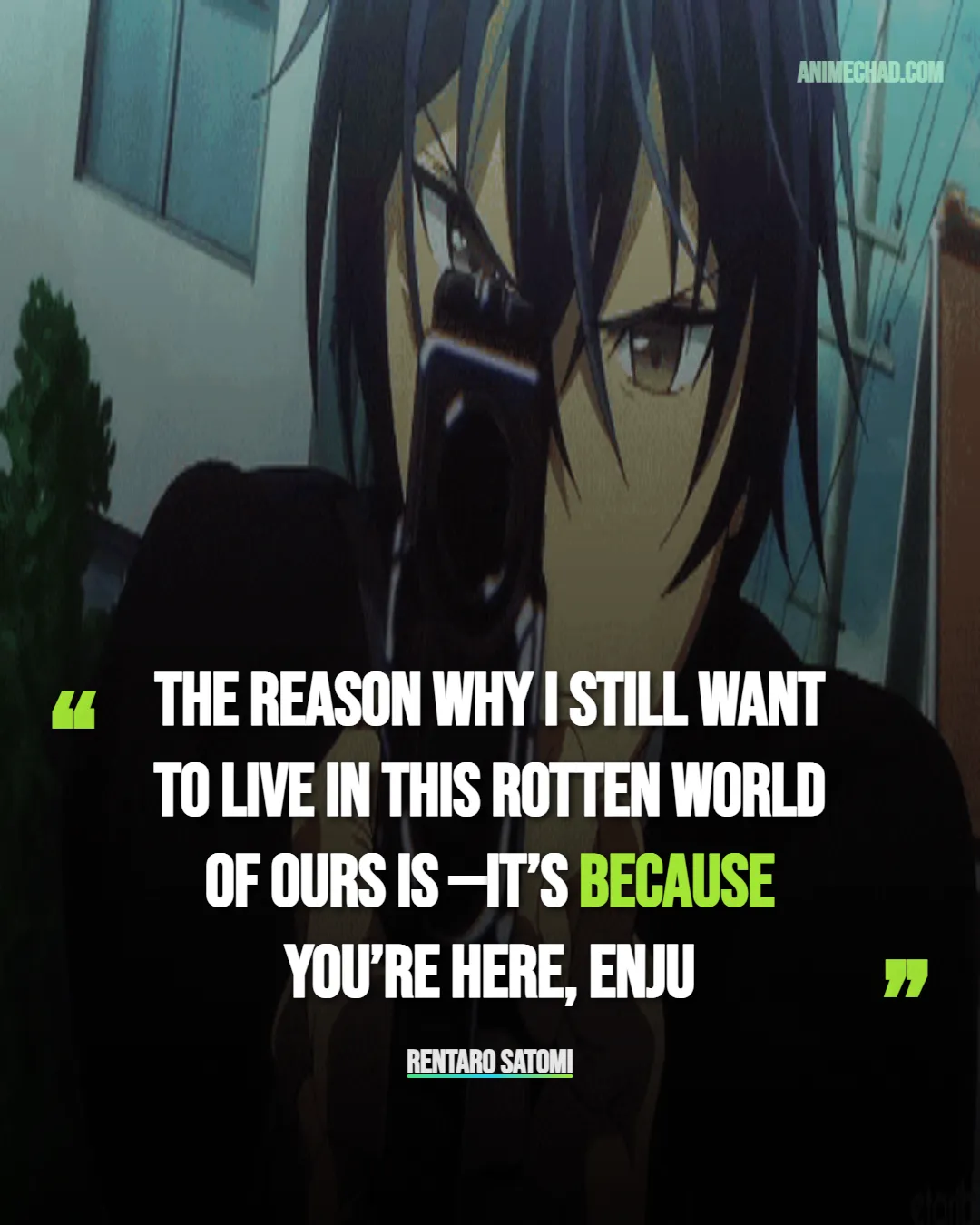 Rentaro Satomi Quotes (2)