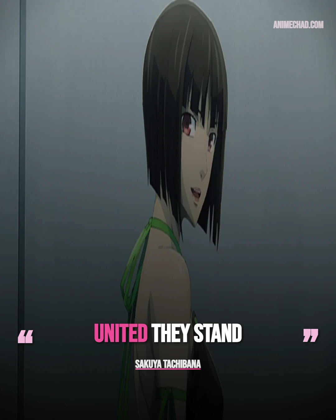 Sakuya Tachibana Quotes (1)