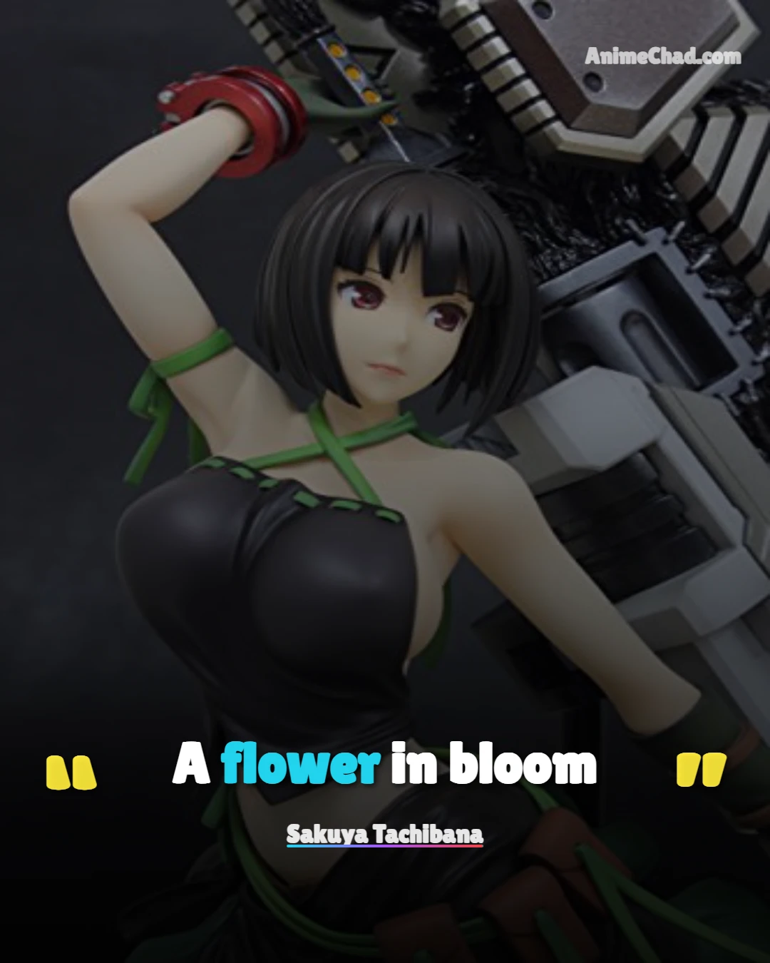 Sakuya Tachibana Quotes