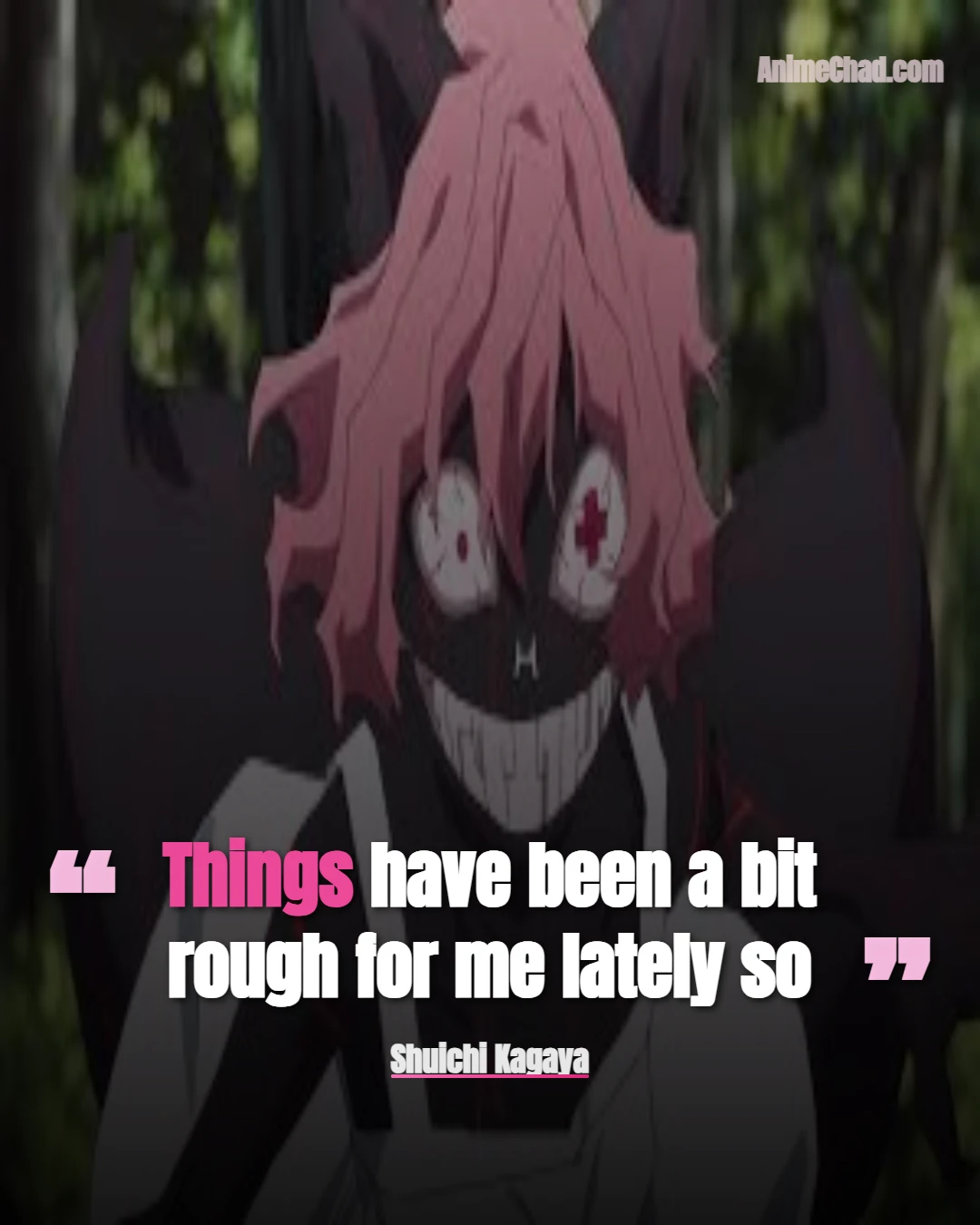 Shuichi Kagaya Quotes (3)