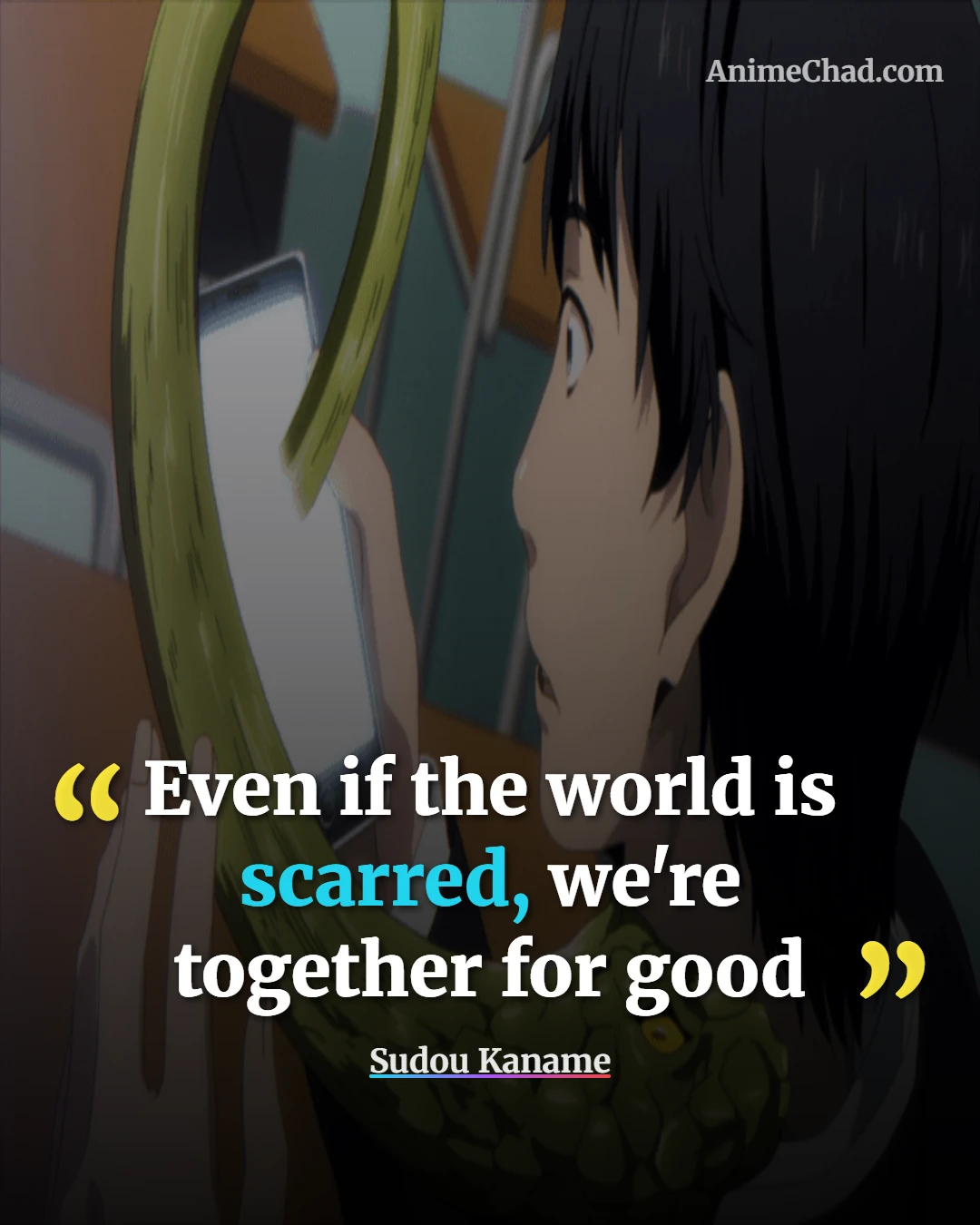 Sudou Kaname Quotes (8)