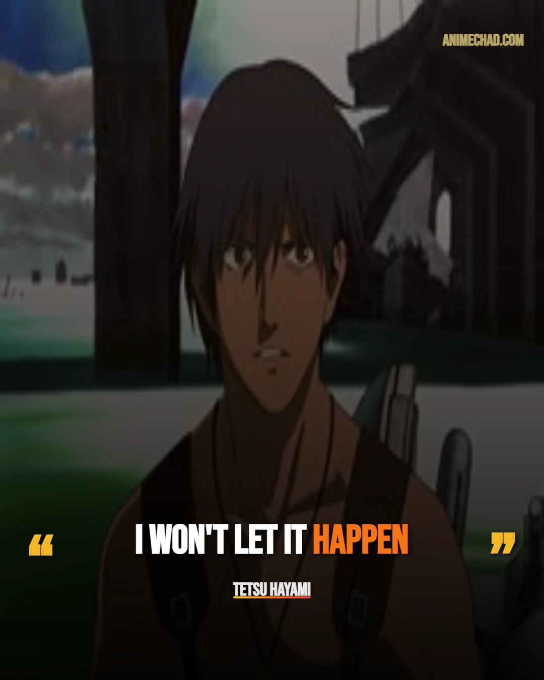 Tetsu Hayami Quotes (1)