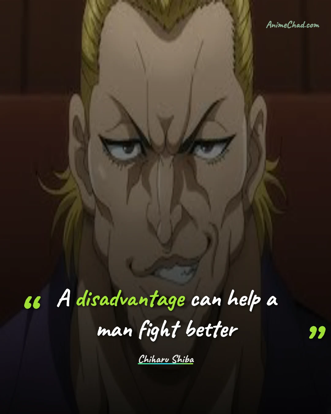 Chiharu Shiba Quotes