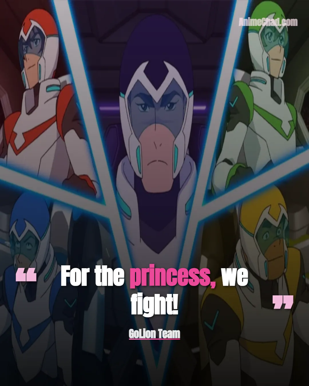 Go Lion Team Quotes (2)