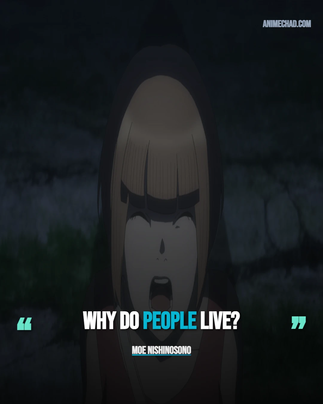 Moe Nishinosono Quotes