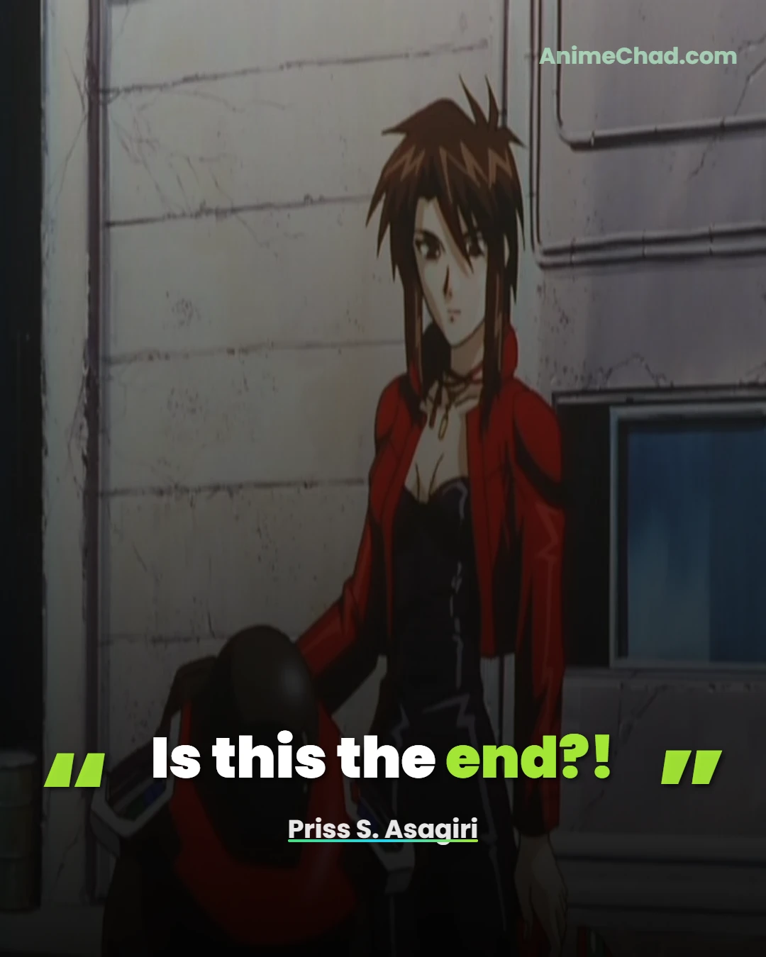 Priss S. Asagiri Quotes (4)